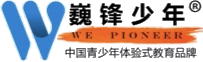 巍锋少年
